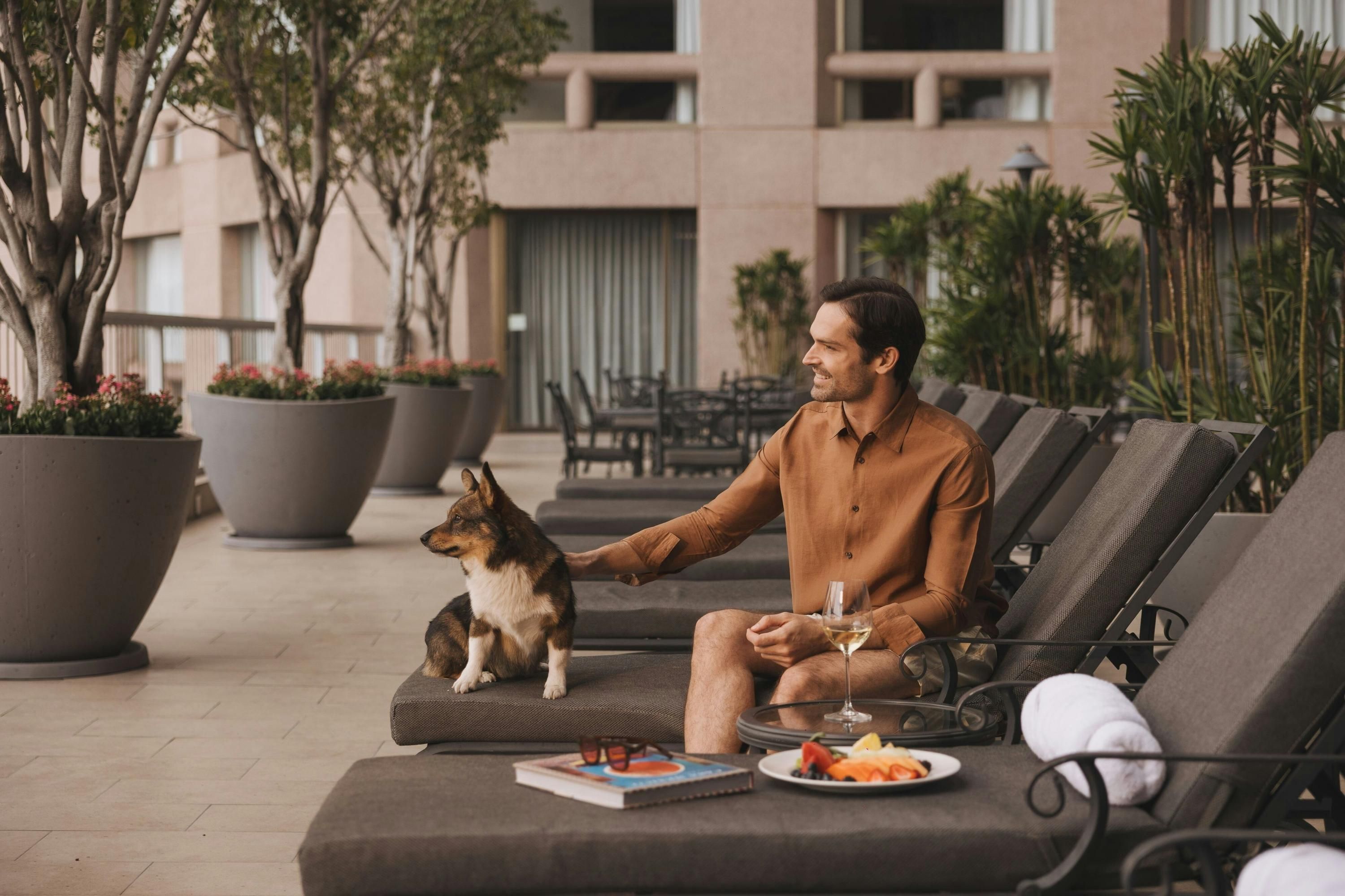 Ofertas, opiniones e imágenes de JW Marriott Hotel Mexico City en