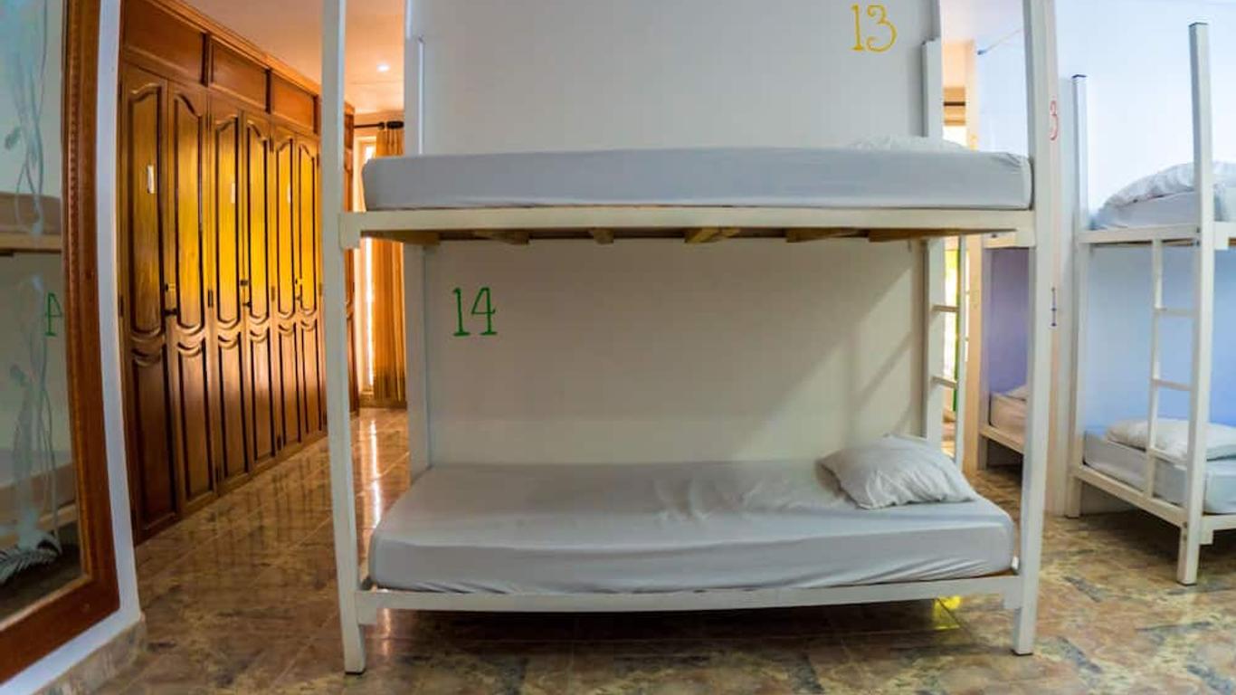 Imagen principal