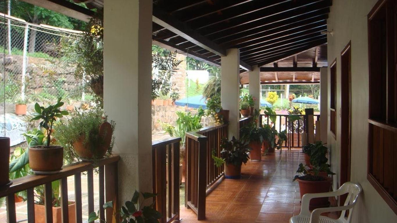 Imagen principal
