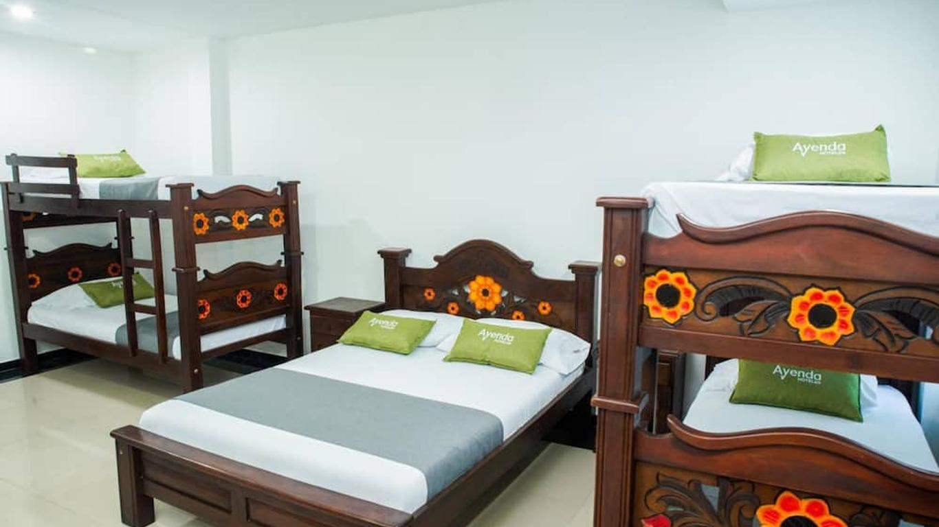 Imagen principal